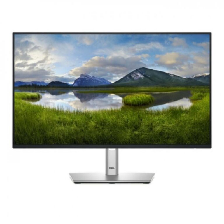 Monitor Commercial Dell P2425H