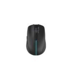 Mouse Serioux Flicker 212
