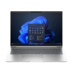 16'' IPS